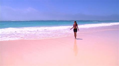 5 Experiences to do in the Bahamas to Grasp it's True Essence Pink Sand ...