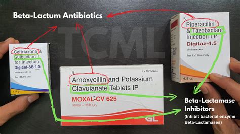 Beta Lactam Antibiotics Tcml The Charsi Of Medical Literature