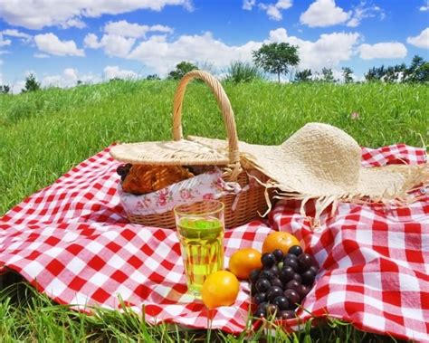 How To Have A Safe And Healthful Picnic Ellie Krieger