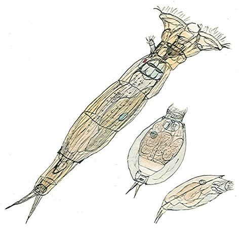I used dressmaking 1150453 3d models found related to building a hay wagon. The Succulent Plant Page: Richard Hodgkiss' Drawings