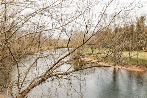 Autumn Landscape Of River And Trees Without Leaves On A Cloudy Day