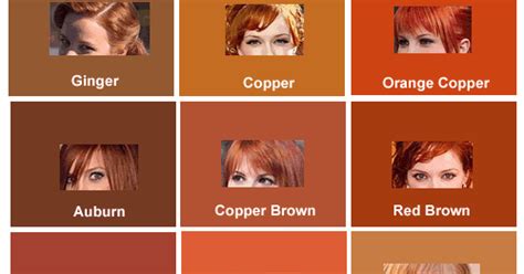 The color chart of brown shades for your hair. Red Hair Color Chart and Shades