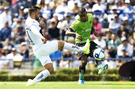 Dorados vs rayados en vivo por univisión tdn. Liga MX: Pumas vs Bravos ver en vivo de Jornada 3 del ...
