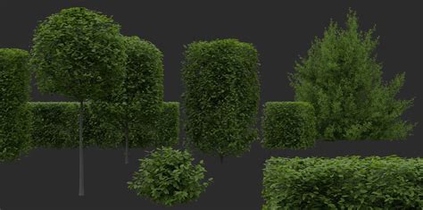 Hedges And Shrubs Pack 3d Model Cgtrader