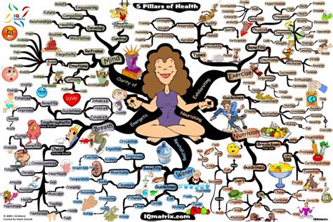 5 Pillars Of Health Mind Map Art