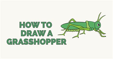 How To Draw A Grasshopper Really Easy Drawing Tutorial