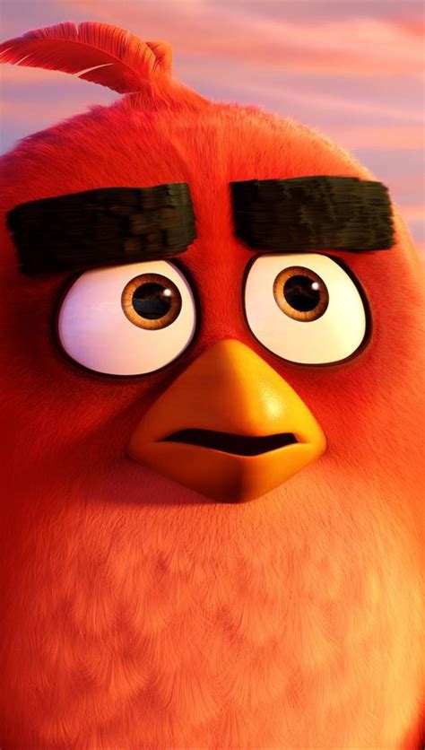 Red And Chuck In Angry Birds Wallpaper 4k Hd Id3952
