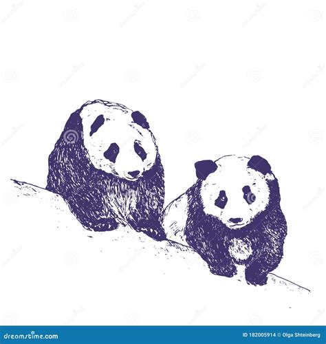 Panda Bears Drawing Cute Animals Sketch Engrave Ink Drawn Panda
