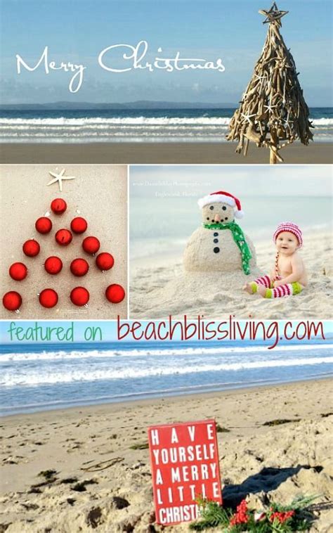 Unique beach christmas cards by independent artists. Christmas on the Beach - 28 Crazy Cute Christmas Photo ...