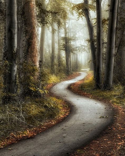 Winding Path In The Forest No Location Given By Lars Van