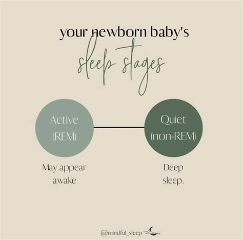 How Your Newborns Sleep Works — Mindful Sleep Consulting