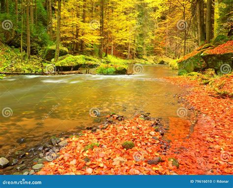 Fall At Mountain River Low Level Of Water Gravel With Vivid Colorful