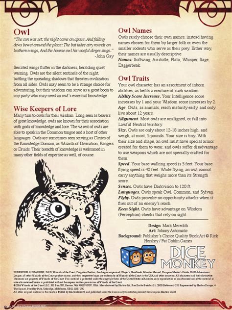 Owl Race For 5e Owl Dungeons And Dragons