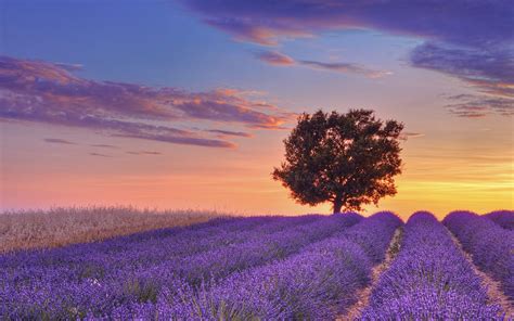 Provence France Wallpapers Top Free Provence France Backgrounds