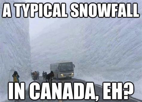 Canadian Winter Memes