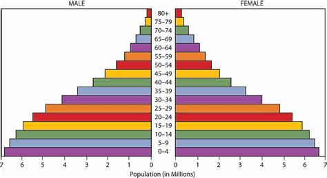 You can get this india age pyramid 2021 on your site. Population Pyramid - Guruprasad's Portal