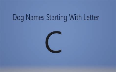 And a few wild card 'c' names like cici and celeste. Extraordinary Dog Names Starting With Letter "C". Both ...