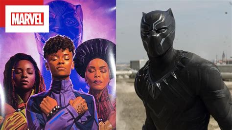 Quem é o novo Pantera Negra Visual completo do novo herói é revelado