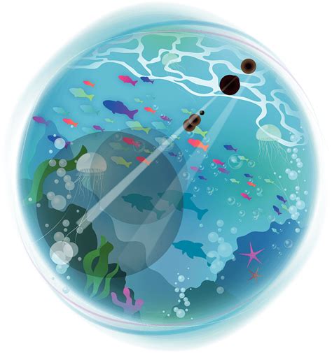 Underwater Sea Fish Clipart Free Download Transparent Png Creazilla