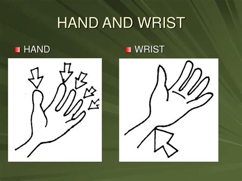 Ppt Hand And Wrist Injuries Powerpoint Presentation Free Download