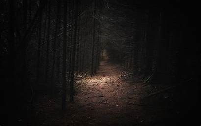 Dark Forest Nature Wallpapers Landscape Path Woods