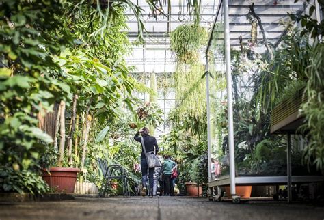 Maybe you would like to learn more about one of these? Letzter Rettungsversuch für Botanischen Garten?