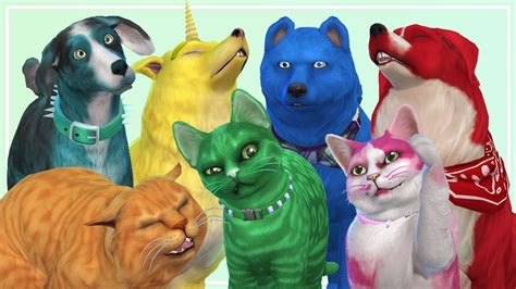 Sims 4 Cats And Dogs Bow Recolors Answersbda