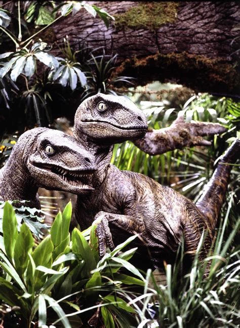 Jurassic Park Errou Outra Coisa Sobre Velociraptors Filmes