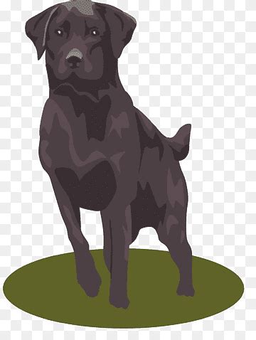 Einzigartige afrikanischer wildhund poster bestellen von künstlern designt und verkauft hochwertiger druck bilder für wohnzimmer, schlafzimmer und mehr. Hunde png | PNGWing