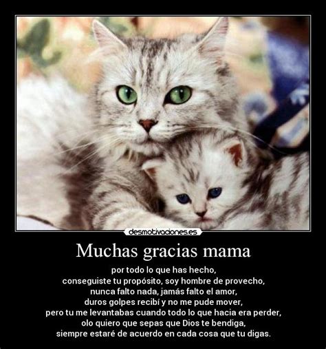 Cada vez que llego tarde a casa, y te veo acostada, puedo percibir que no puedes dormir. Muchas gracias mama | Desmotivaciones