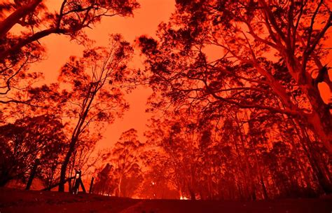 Ogień naciera na sydney, zniszczone zostało miasteczko balmoral mapa. Australia płonie, ratunku nie widać. „Klimatyczne ...