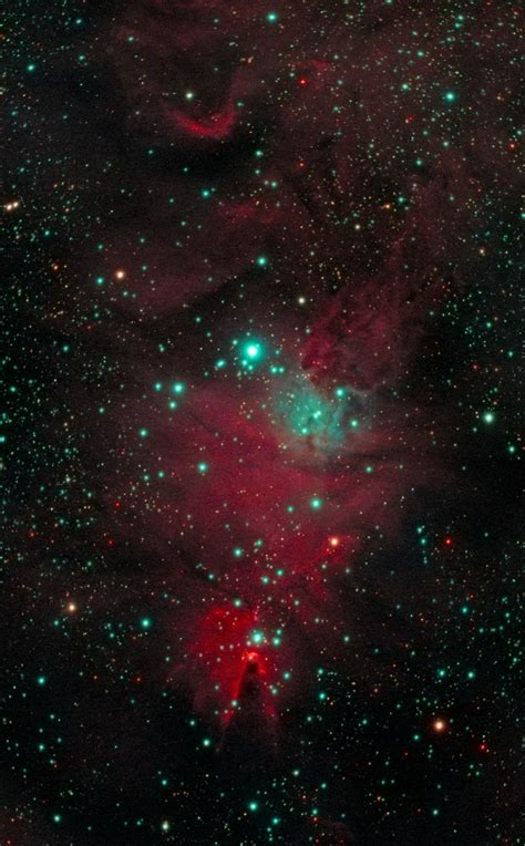 Ngc 2264 Cone Nebula Christmas Tree Cluster Fox Fur Nebula ~jasev