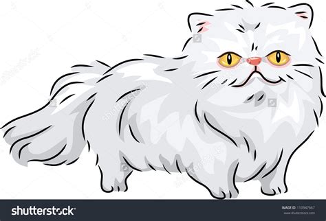 Persian Cat Clipart 20 Free Cliparts Download Images On Clipground 2024