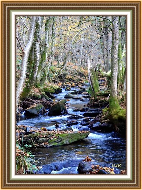 Autumn Forest Creek Winterton Park L A S With Printed Frame