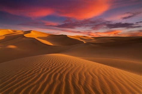 The Sahara Desert is the largest hot desert and one of the harshest