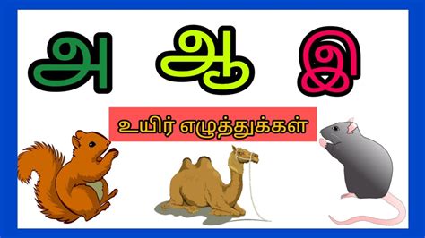 Tamil Letterslearn Tamil Lettersuyir Ezhuthukkal உயிர் எழுத்துக்கள்