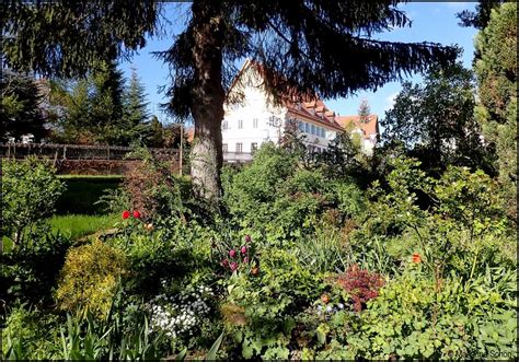 Juli 2021, wie der traum vom naturpool im eigenen garten verwirklicht werden kann. Der schöne wilde Garten meiner Nachbarin... Foto & Bild ...