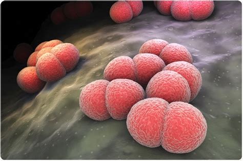 Human papillomavirus also known as hpv is a common cause of infection that usually has no symptoms, but can cause cervical cancer. What are the Different Types of Vaccines?