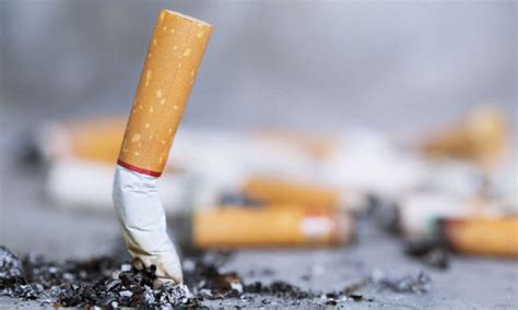 Cold Case Nel Torinese Incastrato Da Un Mozzicone Di Sigaretta Dopo 17