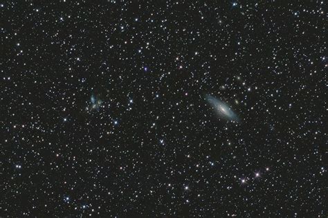 Ngc 7331 Stephan Quintet And Deer Lick Group Photograph By Nocturnal