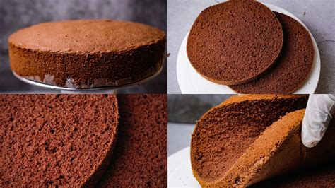 Basic Chocolate Sponge Cake For Frosting Chocolate Sponge Cake Without Oil And Butter Youtube