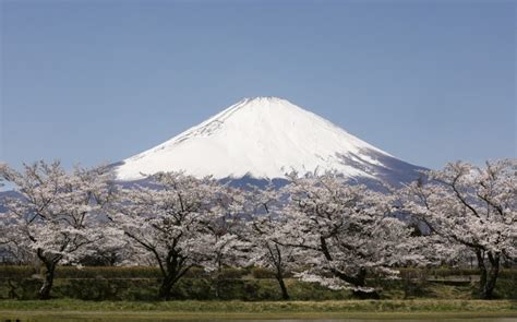 We did not find results for: 2020東奧閉幕隔天 日本將動員萬人「手牽手繞富士山」 - 國際 - 自由時報電子報