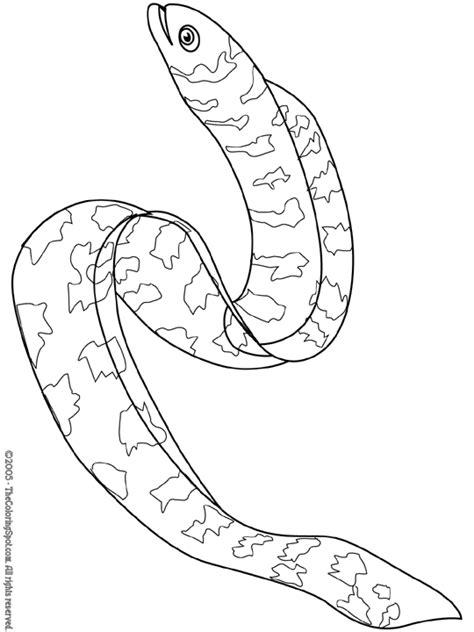 Maybe because the beard on his mouth looks like a cat's beard. Eel Coloring Page 1 | Audio Stories for Kids | Free Coloring Pages | Colouring Printables