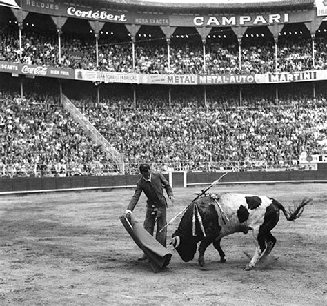 Bullfighting In Barcelona World News The Guardian