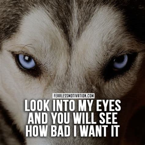 Wolf Pack Quotes Wolves Quote Wolf Quotes Motivational Wolf Quote