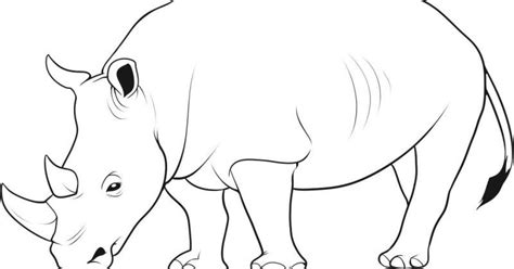 Sehingga banyak ikon, sketsa gambar anime dan posternya. Belajar mewarnai gambar binatang badak untuk anak TK