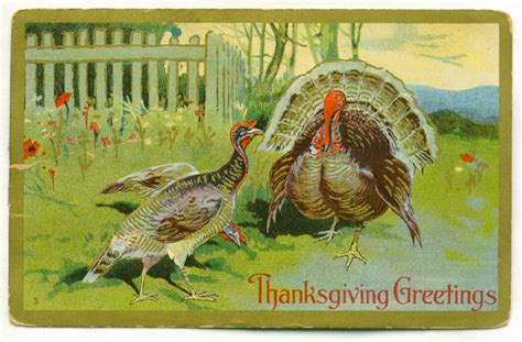 CRAZY BY DESIGN: Happy Thanksgiving