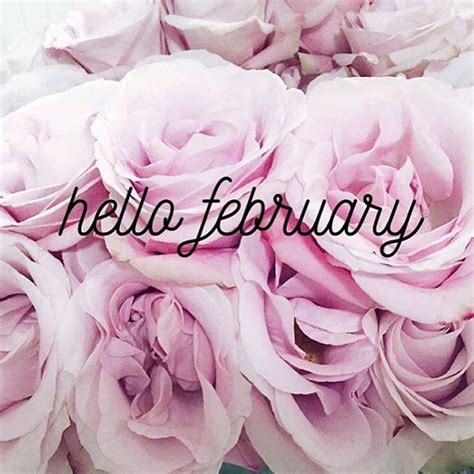 Hello February! ! (
