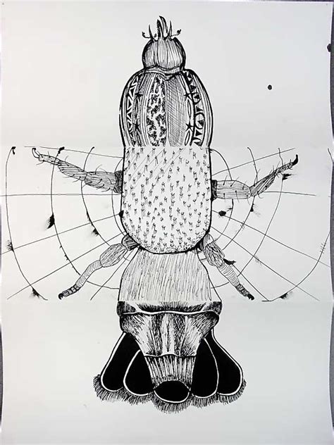 Exquisite Corpse Project