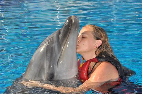Delfinshow Und Schwimmen Mit Delfinen In Side Vigo Tours